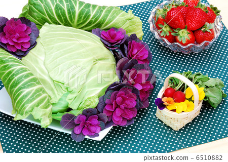 春天的蔬菜 春天的蔬菜 6510882