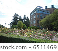 University of Washington Seattle Campus 6511469