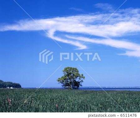 Lake Saroma in the summer 6511476