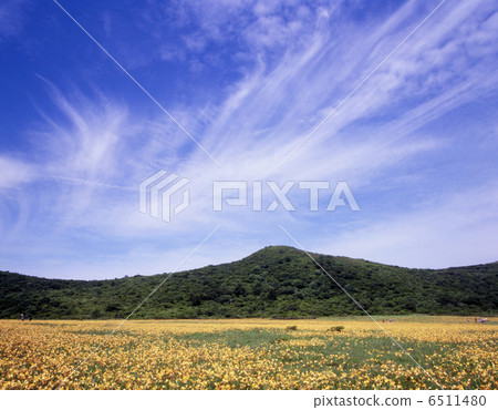 Nikko Kisogene盛開的Ogununuma Nikko Kisogene盛開的Ogununuma 6511480