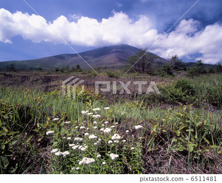 夏季淺間高原 6511481