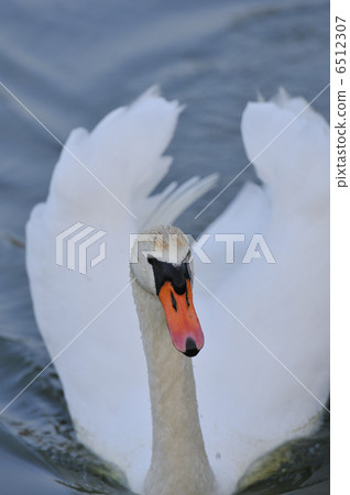 called? called? 6512307