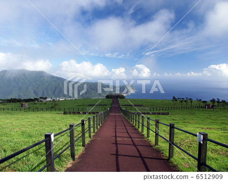 Hachijojima Ranch Hachijojima Ranch 6512909