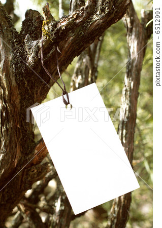 垂懸從迷迭香灌木的紙標籤 6512991