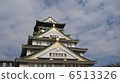 Osaka Castle  6513326