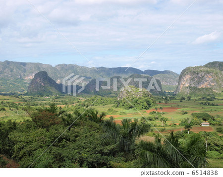 世界遺產ViñalesValley(古巴) 世界遺產ViñalesValley(古巴) 6514838
