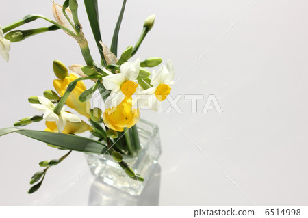 Japan Narcissus and Freesia (sideways left) 6514998