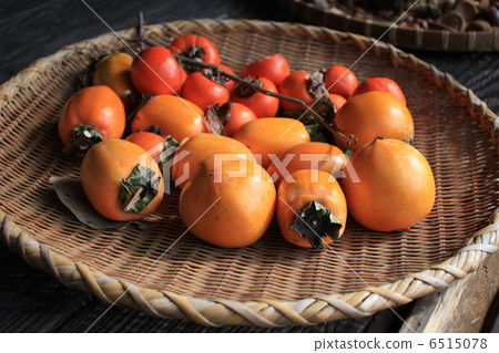 persimmon 6515078
