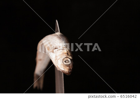 dead small fish contorted on knife dead small fish contorted on knife 6516042