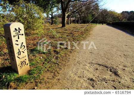 Furukawa Comprehensive Park Potato Slope - in Furukawa 6516794