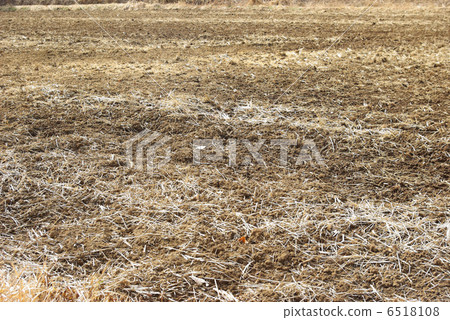Rice field after rice field raising Rice field after rice field raising 6518108