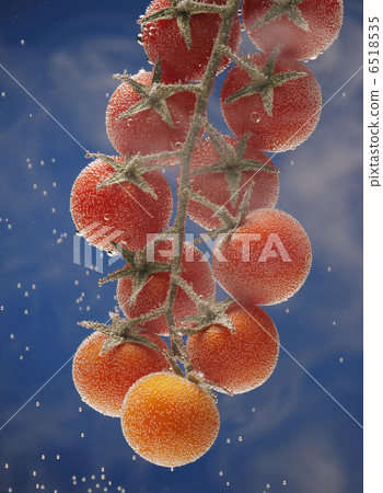 Tomato under water Tomato under water 6518535