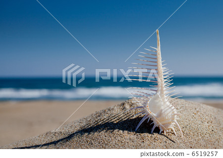 與藍天的Honeymai 6519257