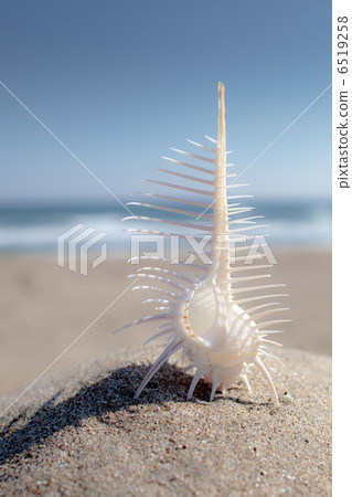 與藍天的Honeymai 6519258