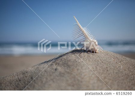 與藍天的Honeymai 6519260