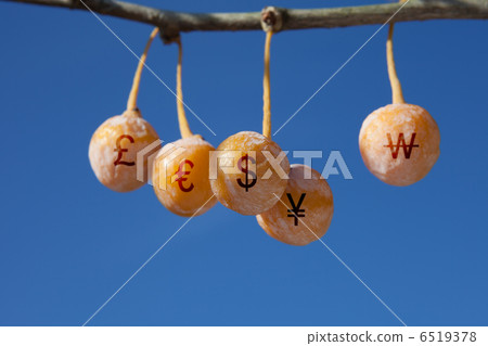 exchange exchange 6519378