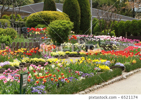  花園 6521174