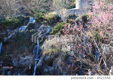 Plum Festival Atami Plumen 6521550