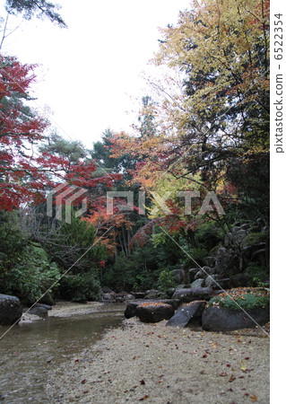 秋葉Momiji谷 秋葉Momiji谷 6522354