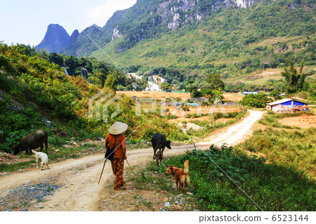 Vietnamese landscapes Vietnamese landscapes 6523144