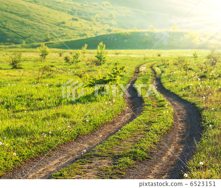 Road in field Road in field 6523151