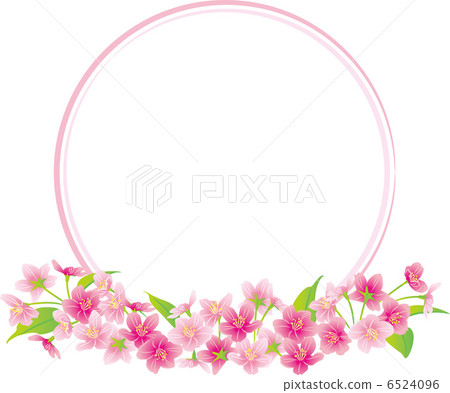 Cherry Blossoms	 6524096