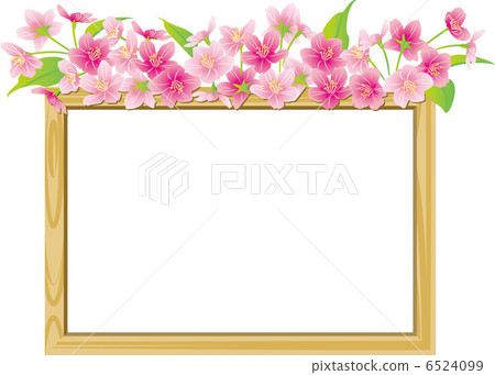 Cherry Blossoms	 6524099