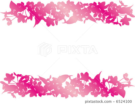 Cherry Blossoms	 6524100