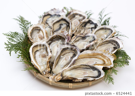 牡蠣 6524441