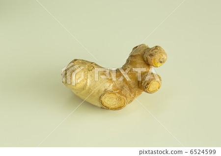  ginger 6524599