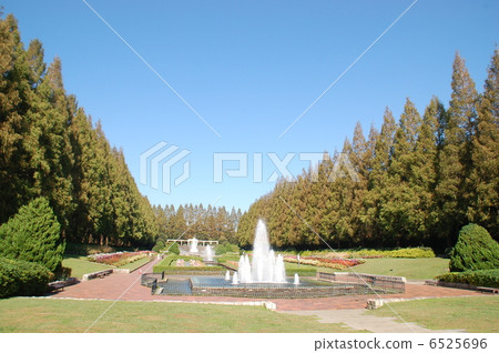 Fountain and park Fountain and park 6525696