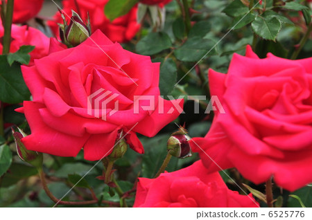 Timeless '98 Timeless '98 6525776