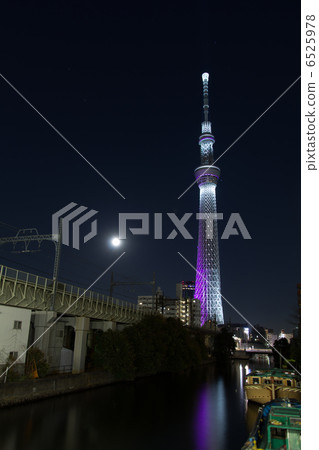 Sky tree and full moon 6525978