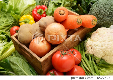 Vegetable collection 6527525