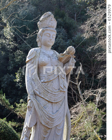 Kannon秋天公園Kannon Kannon秋天公園Kannon 6529979