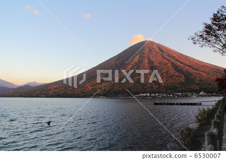 中禪寺湖的早晨 6530007