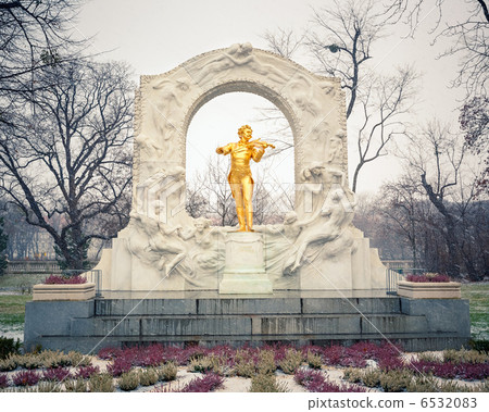 Strauss in snowstorm 6532083