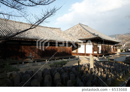 World Heritage Gango-ji 6533088
