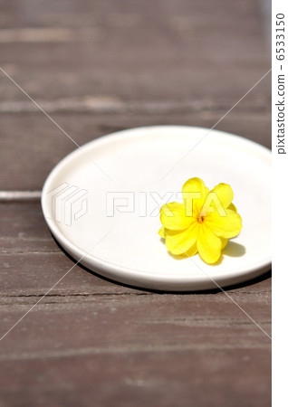 Yunnan Yumei who finished blooming 6533150