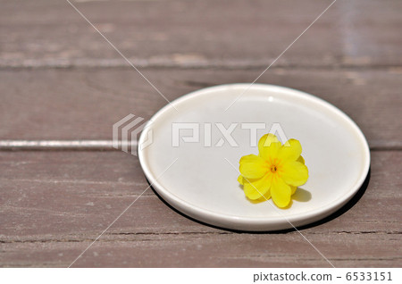 Yunnan Yumei who finished blooming 6533151