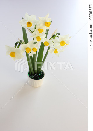 Ikebana of Japanese Narcissus (vertically frontal) Ikebana of Japanese Narcissus (vertically frontal) 6536875