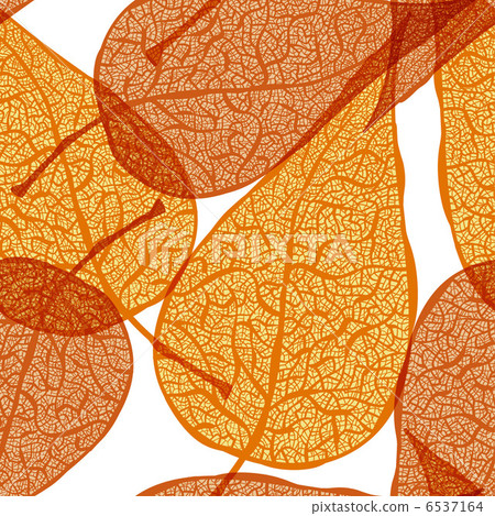 vector background with autumn leaves vector background with autumn leaves 6537164