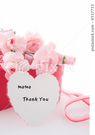 Thank you card and present and carnation 6537733