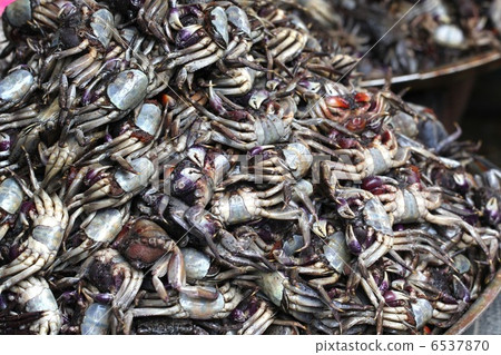 Crab Thai Foodstuff Bangkok Thailand Crab Thai Foodstuff Bangkok Thailand 6537870