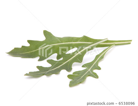 Sweet rucola salad or rocket lettuce leaves 6538096