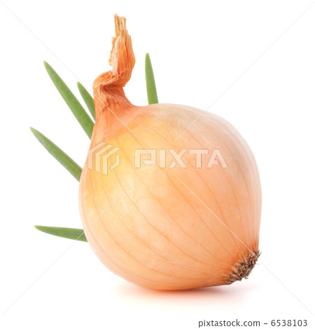 Onion bulb 6538103