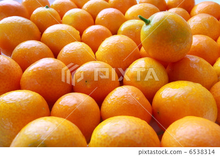 健辰(白色背景) 健辰(白色背景) 6538314