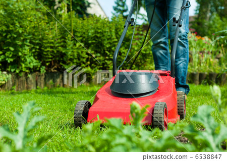 Man is mowing the lawn in summer 6538847