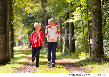 Seniors jogging on a forest road Seniors jogging on a forest road 6539192