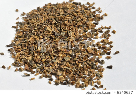 Schneek's seeds 6540627